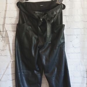 Express leather pants